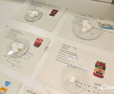Laboratori 2n ESO